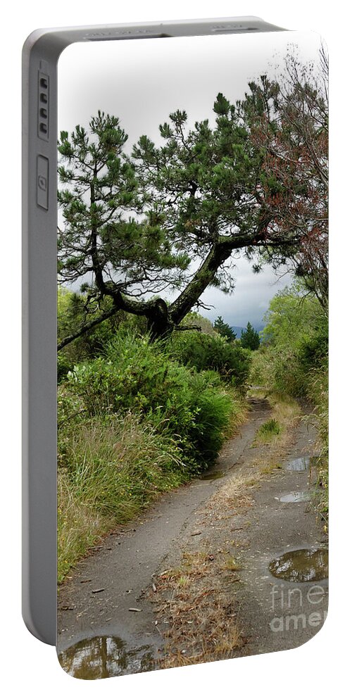  New Zealand Portable Battery Charger featuring the photograph Country road. New Zealand by Yurix Sardinelly