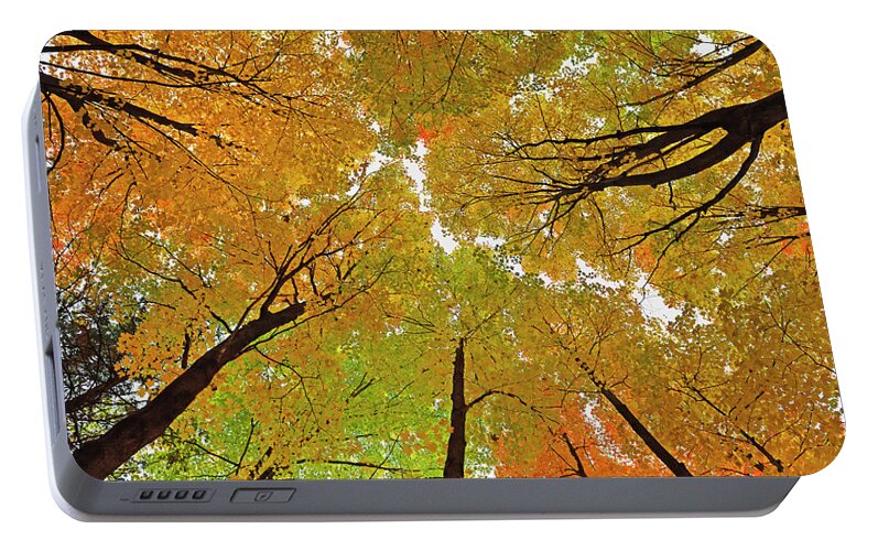 Maple Portable Battery Charger featuring the photograph Cover Up by Tony Beck
