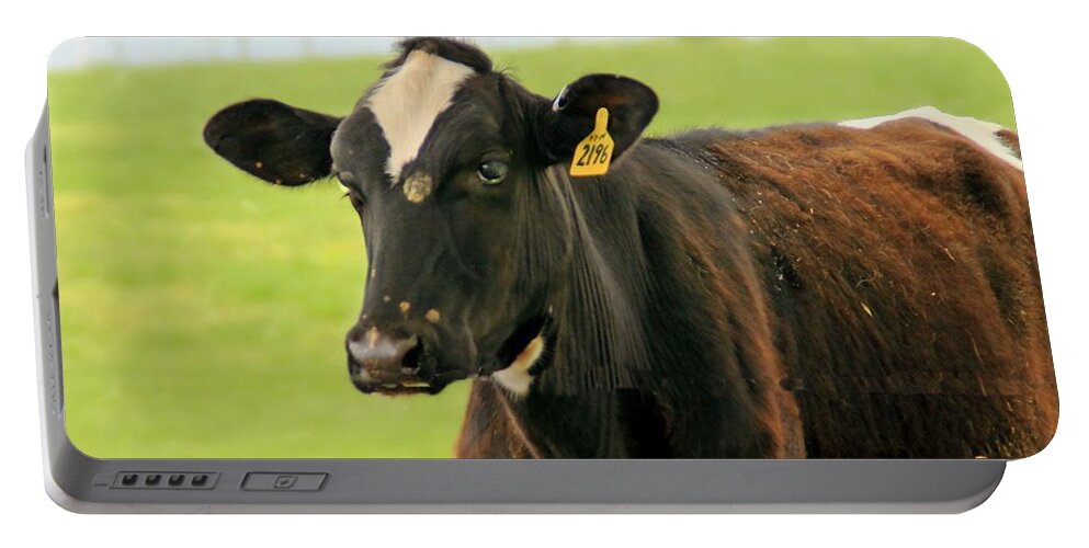 Cows Portable Battery Charger featuring the photograph Cow 4 by Karl Rose