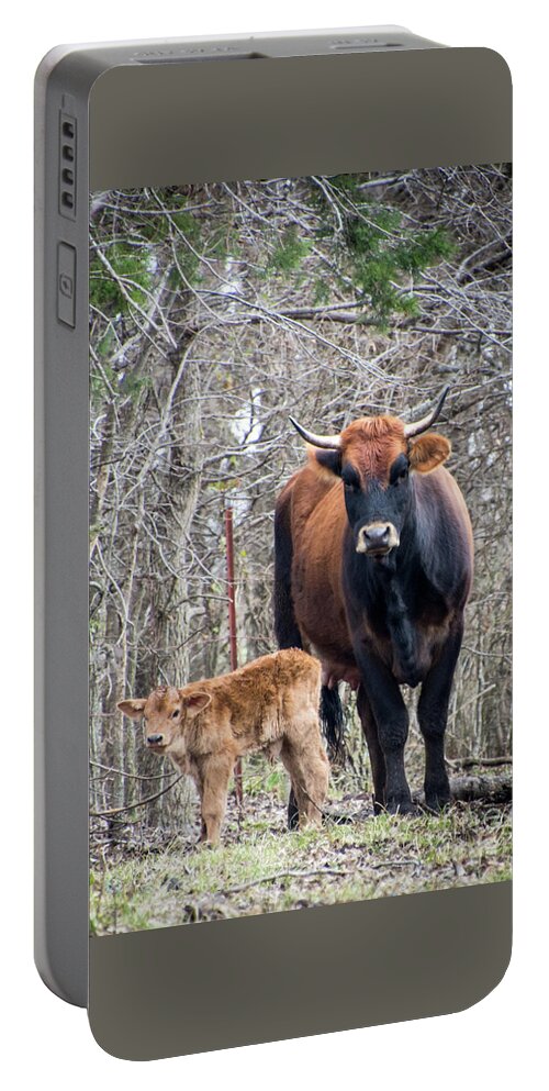 Cow Portable Battery Charger featuring the photograph Cow and Calf by Cheryl McClure