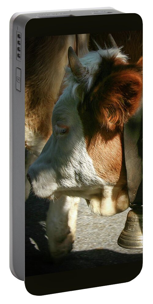 Beautiful Cow Portable Battery Charger featuring the photograph Cow Beautiful - by Julie Weber