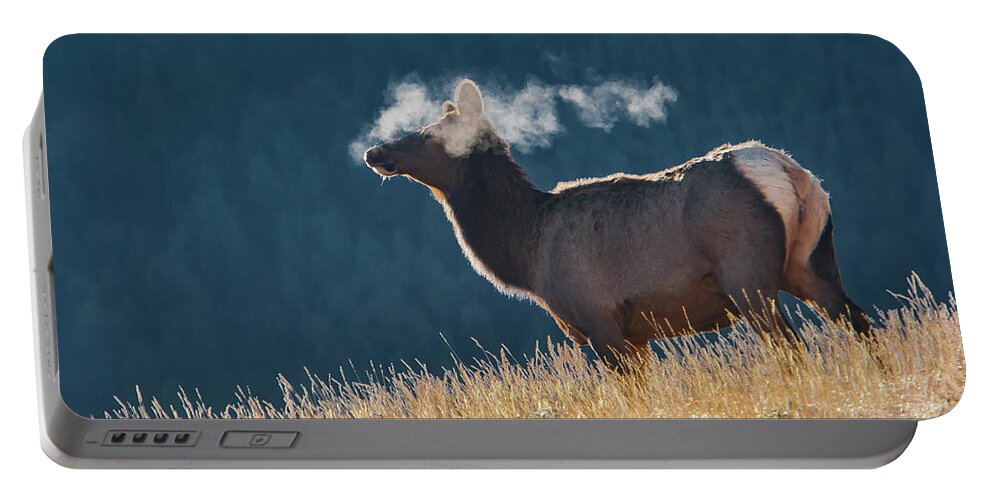 Mark Miller Photos Portable Battery Charger featuring the photograph Cow Elk with Steamy Breath by Mark Miller