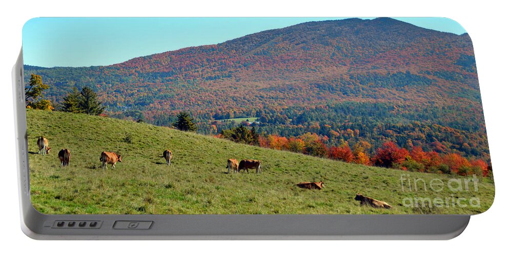 Cows Portable Battery Charger featuring the photograph Cows Enjoying Vermont Autumn by Catherine Sherman