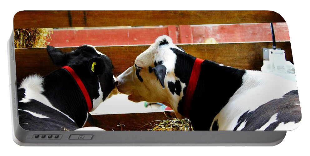 Cows Portable Battery Charger featuring the photograph Cows by Karl Rose