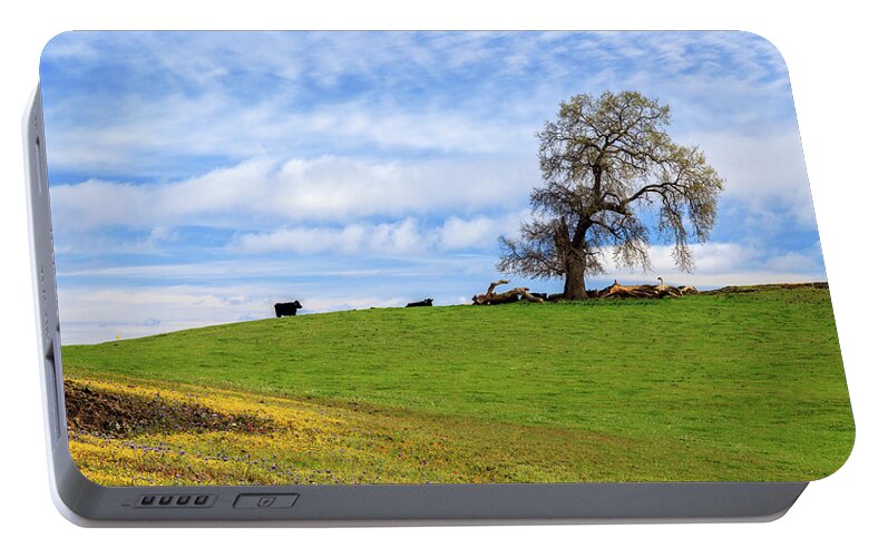 Cows Portable Battery Charger featuring the photograph Cows On A Spring Hill by James Eddy