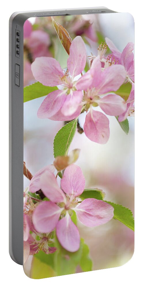 Jenny Rainbow Fine Art Photography Portable Battery Charger featuring the photograph Crabapple Tree Blossom by Jenny Rainbow