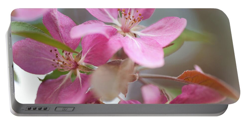 Jenny Rainbow Fine Art Photography Portable Battery Charger featuring the photograph Crabapple Tree Pink Flowers by Jenny Rainbow