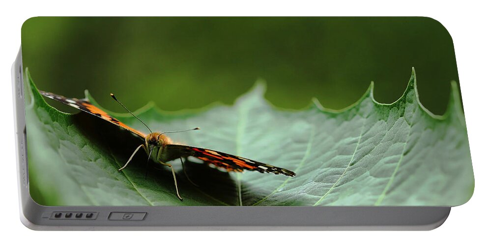 Butterfly Portable Battery Charger featuring the photograph Cradled Painted Lady by Debbie Oppermann
