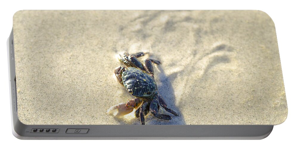 Crab Portable Battery Charger featuring the photograph Crawling Back to You by Spencer Hughes