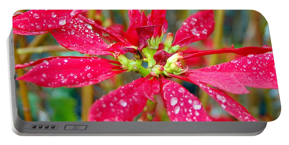 Flower Portable Battery Charger featuring the photograph Crazy dewy red flower by Amy Fose
