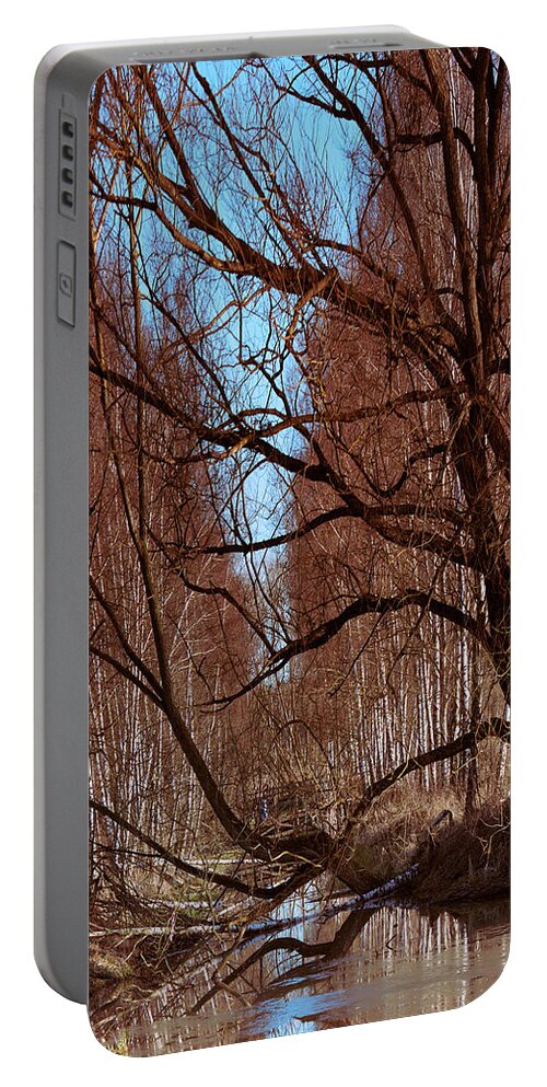  Portable Battery Charger featuring the photograph Creek #f5 by Leif Sohlman