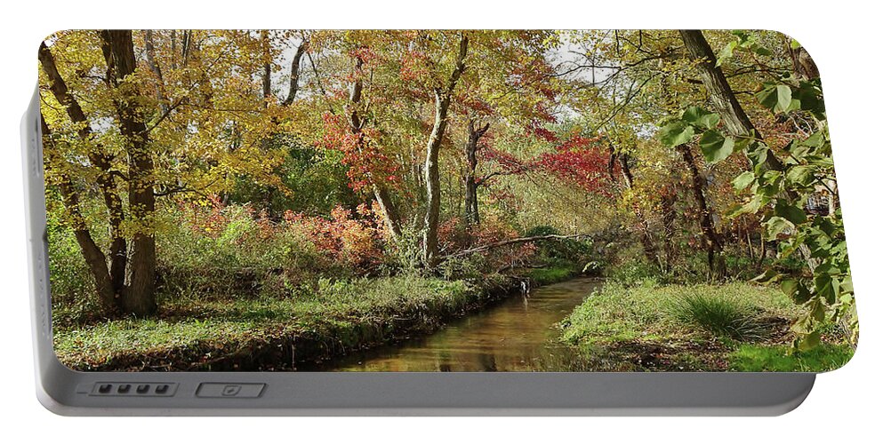 Landscape Portable Battery Charger featuring the photograph Creek in the woods by Mikki Cucuzzo