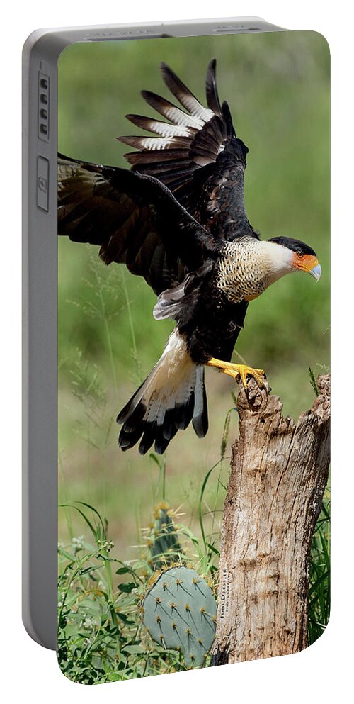 Caracaras Portable Battery Charger featuring the photograph Crested Caracara Landing by Judi Dressler