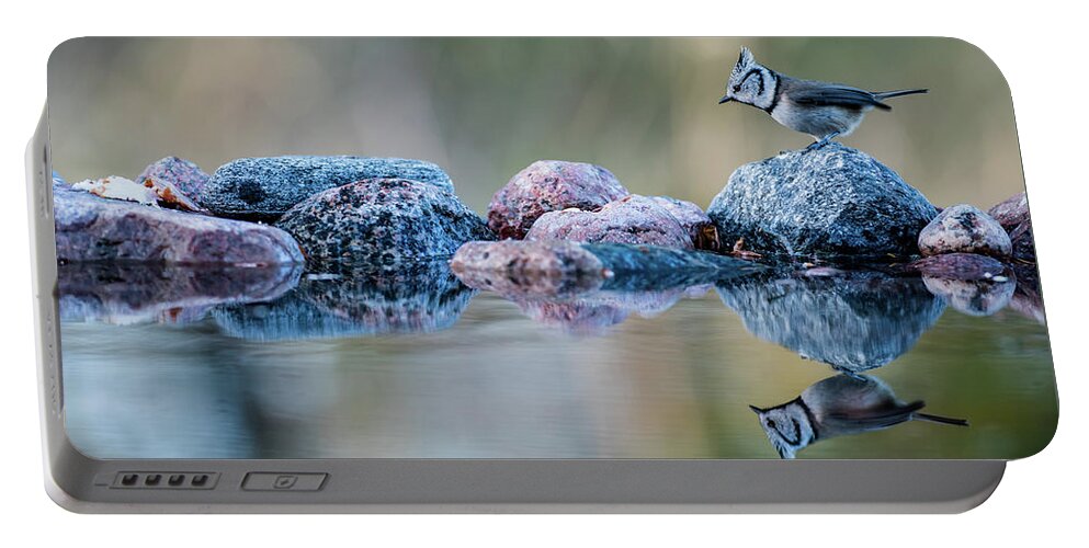 Crested Tit's Reflection Portable Battery Charger featuring the photograph Crested Tit's reflection by Torbjorn Swenelius