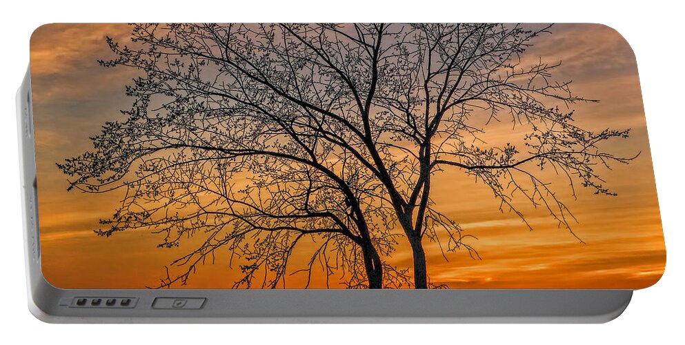 Tree Portable Battery Charger featuring the photograph Crimson Branches by Carol Randall