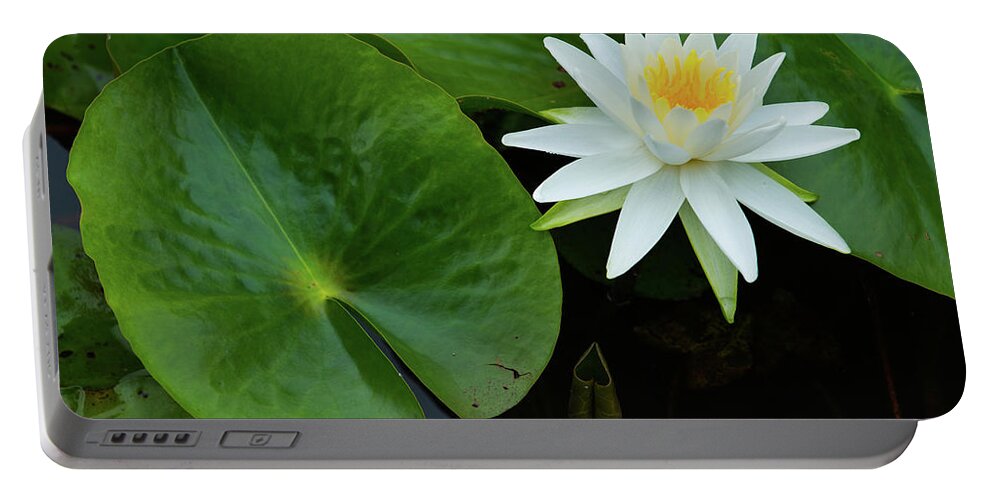 Bloom Portable Battery Charger featuring the photograph Crisp White and Yellow Lily by Dennis Dame