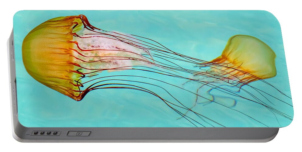 Jelly Fish Portable Battery Charger featuring the photograph Criss Cross by Derek Dean