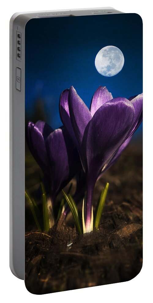 Crocus Portable Battery Charger featuring the photograph Crocus Moon by Robert Potts