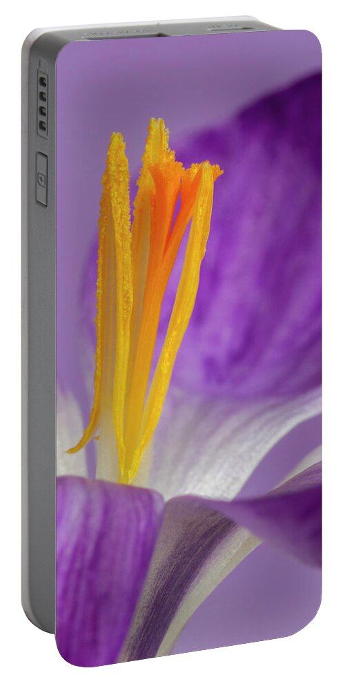 Crocus Portable Battery Charger featuring the photograph Crocus Stamens by Diane Fifield