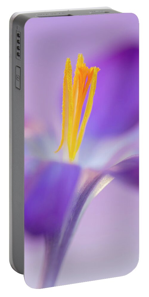 Crocus Portable Battery Charger featuring the photograph Crocus Stand Proud by Diane Fifield