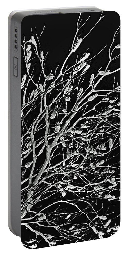 Australia Portable Battery Charger featuring the photograph Cronulla Tree No. 62-2 by Sandy Taylor