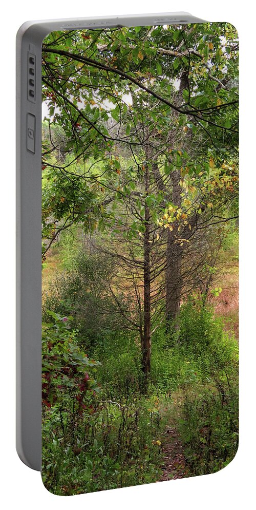  Portable Battery Charger featuring the photograph Crooked Creek Woods by Kimberly Mackowski