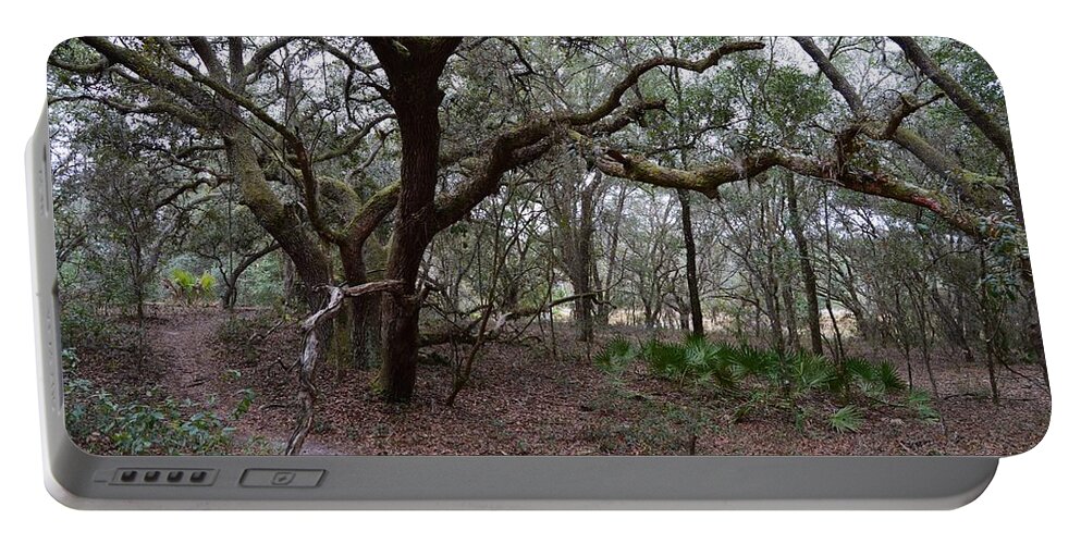 Crooked Limbs And Trail Portable Battery Charger featuring the photograph Crooked Limbs and Trail by Warren Thompson