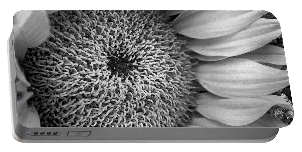 Sunflower Portable Battery Charger featuring the photograph Cropped Sunflower B W by David T Wilkinson
