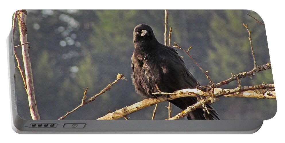 Nw Birds Portable Battery Charger featuring the digital art Crow Morning by I'ina Van Lawick