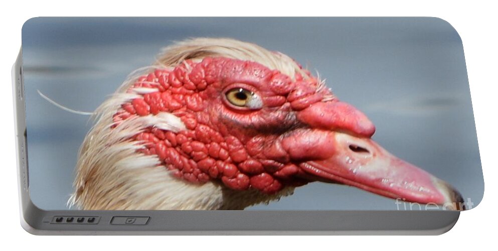Geese Portable Battery Charger featuring the photograph Crying Goose by Dani McEvoy