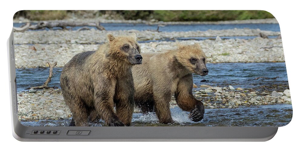 Alaska Portable Battery Charger featuring the photograph Cubs on the Prowl by Cheryl Strahl
