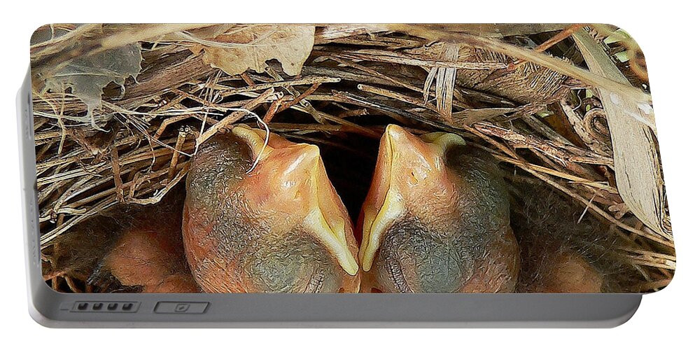Cardinal Portable Battery Charger featuring the photograph Cuddling Cardinals by Al Powell Photography USA