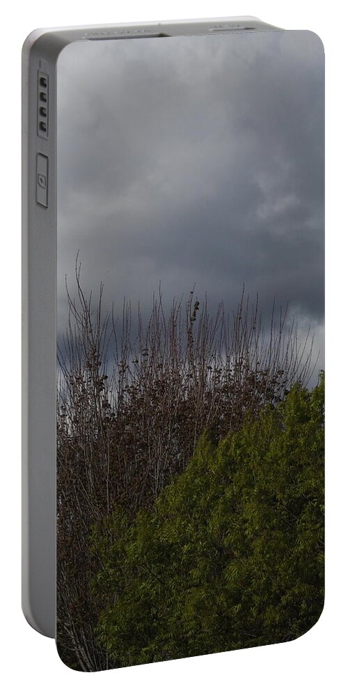  Portable Battery Charger featuring the photograph Cumulus 19 and Trees by Richard Thomas