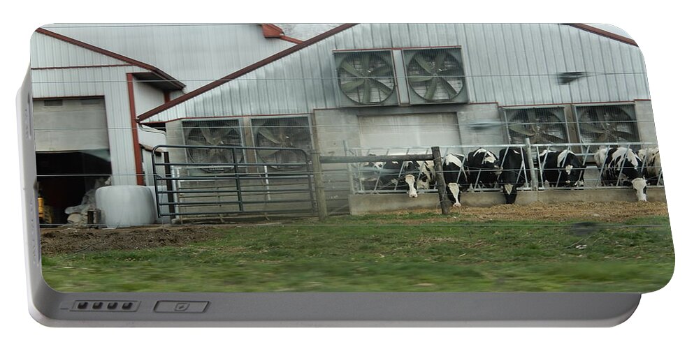 Amish Portable Battery Charger featuring the photograph Curious Cows by Christine Clark