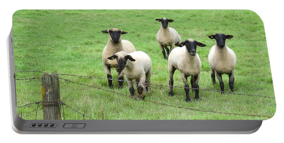Curious Sheep Portable Battery Charger featuring the photograph Curious Sheep by Kathy M Krause