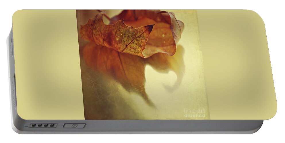 Leaf Portable Battery Charger featuring the photograph Curled Autumn Leaf by Lyn Randle