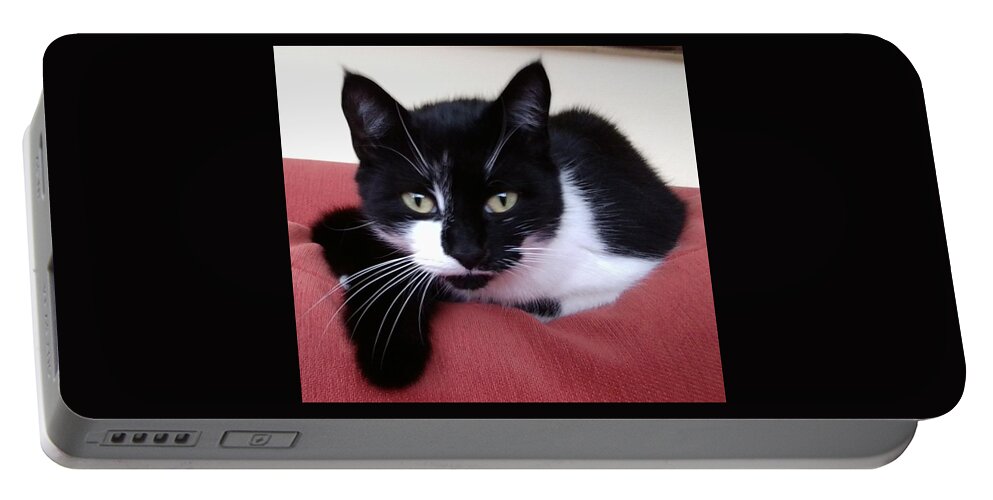 Cat Portable Battery Charger featuring the photograph Cute Cat by Julia Woodman