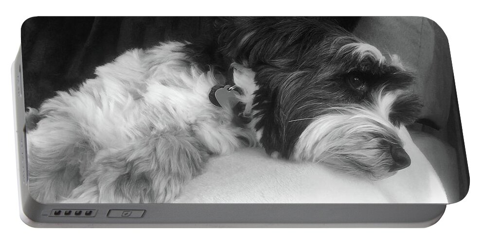 Cute Portable Battery Charger featuring the photograph Cute Tibetan terrier resting on a sofa by Simon Bratt
