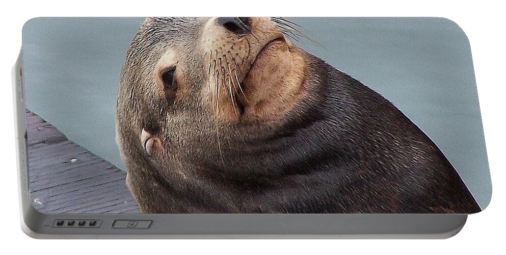 Seal Portable Battery Charger featuring the photograph Cutie Photograph by Kimberly Walker