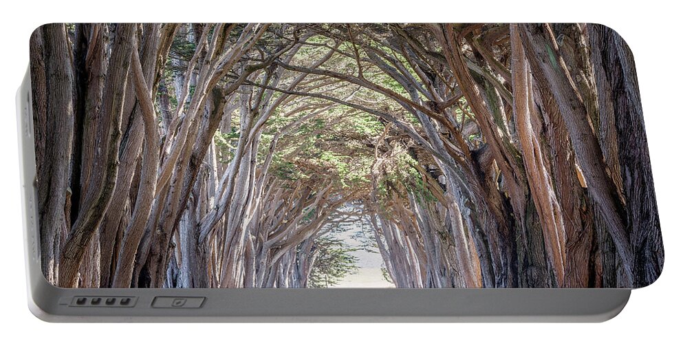 Cypress Portable Battery Charger featuring the photograph Cypress Embrace by Everet Regal