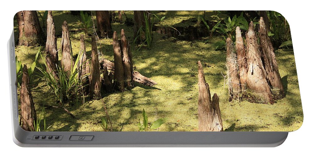 Swamps Portable Battery Charger featuring the photograph Cypress Knees in Green Swamp by Carol Groenen