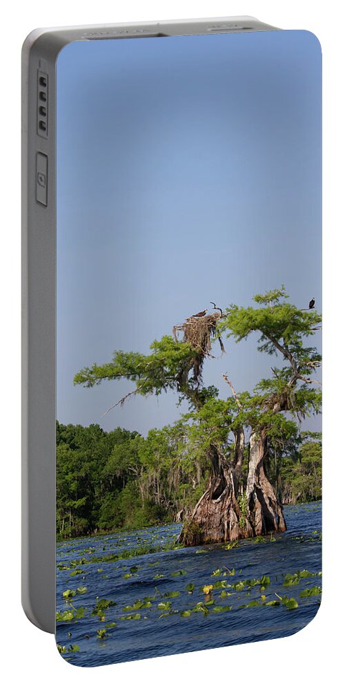 Cypress Portable Battery Charger featuring the photograph Cypress Osprey Duo by Paul Rebmann