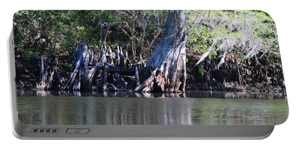 Cypress Waterscape - Light Portable Battery Charger featuring the photograph Cypress Waterscape by Warren Thompson