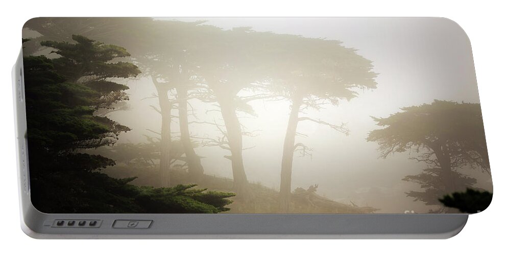 California Portable Battery Charger featuring the photograph Cyprus Tree Grove in Fog by Craig J Satterlee