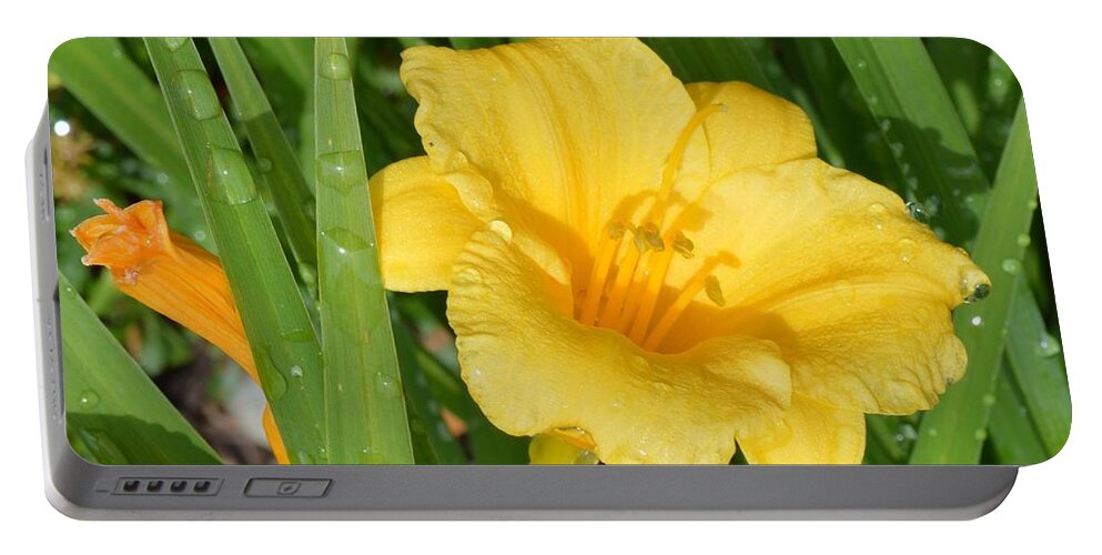 Daffodil Portable Battery Charger featuring the photograph Daffodils by Beverly Shelby