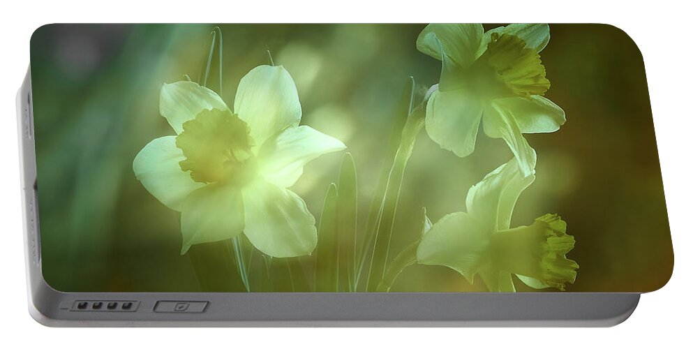 Daffodils Portable Battery Charger featuring the photograph Daffodils1 by Loni Collins