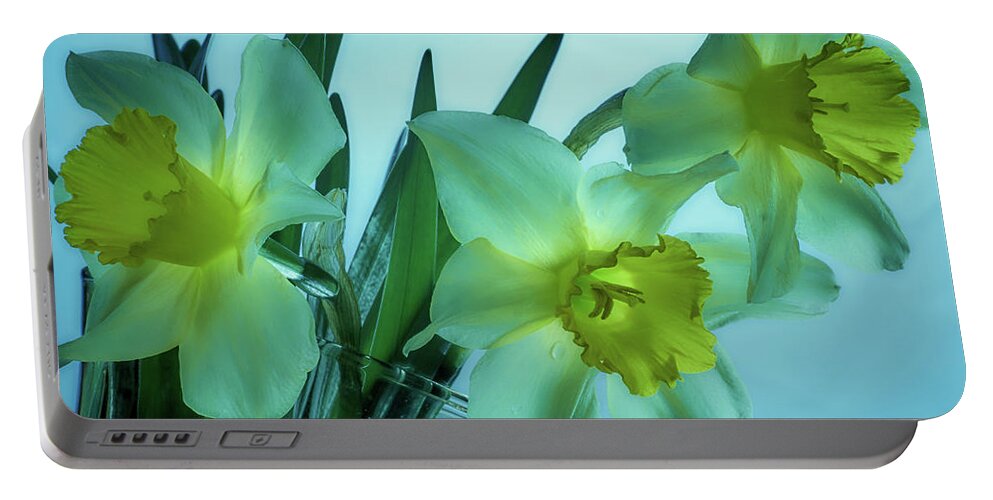 Daffodils Portable Battery Charger featuring the photograph Daffodils2 by Loni Collins