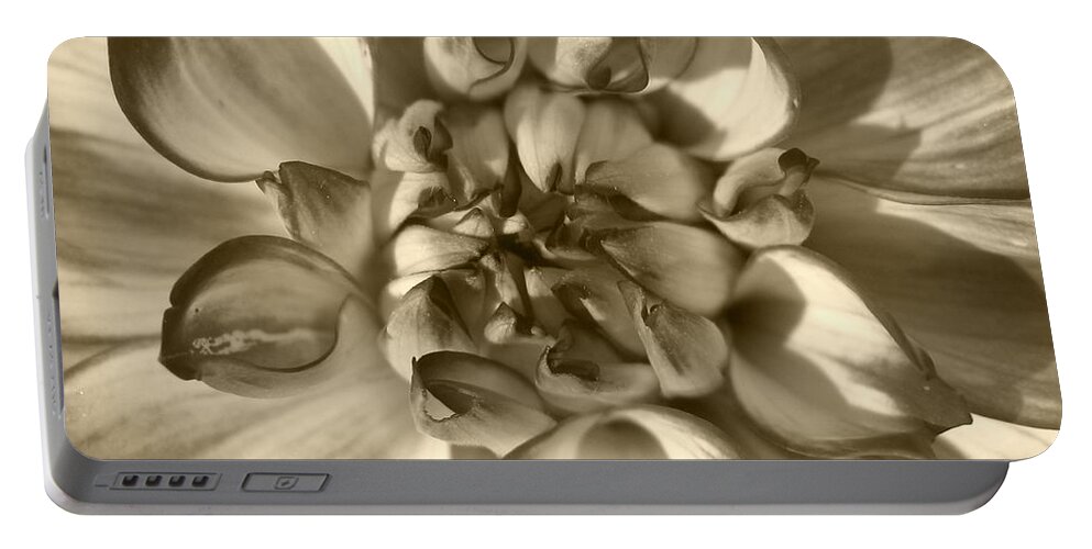 Dahlia Portable Battery Charger featuring the photograph Dahlia named Who Dun It by J McCombie