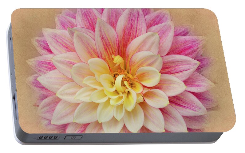 Dahlia Portable Battery Charger featuring the photograph Dahlia With Golden Background by Mary Jo Allen