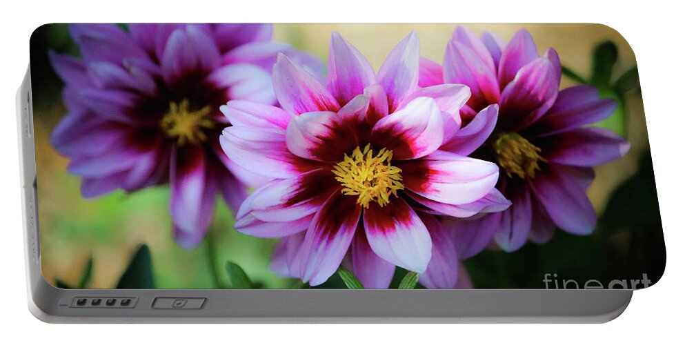 Dahlia Portable Battery Charger featuring the photograph Dahlias by Veronica Batterson